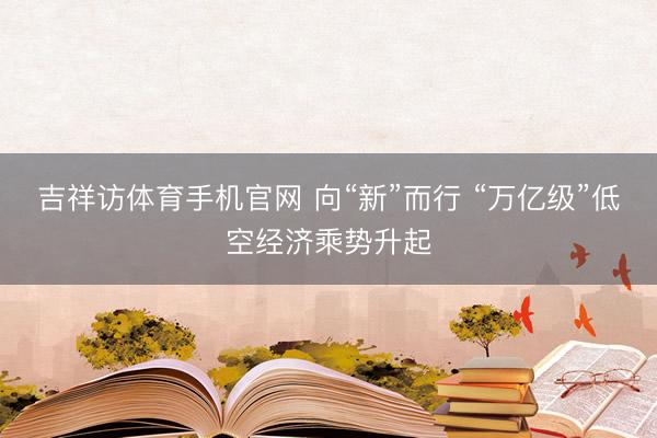 吉祥访体育手机官网 向“新”而行 “万亿级”低空经济乘势升起