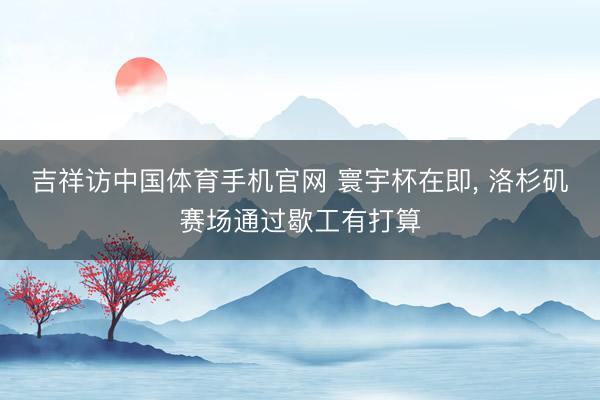 吉祥访中国体育手机官网 寰宇杯在即, 洛杉矶赛场通过歇工有打算