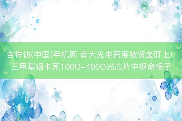 吉祥访(中国)手机网 南大光电再度被资金盯上! 三甲基铟卡死100G-400G光芯片中枢命根子