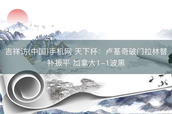 吉祥访(中国)手机网 天下杯:卢基奇破门拉林替补扳平 加拿大1-1波黑