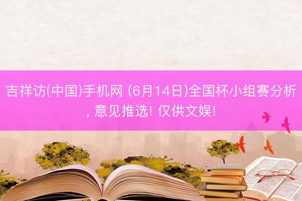 吉祥访(中国)手机网 (6月14日)全国杯小组赛分析， 意见推选! 仅供文娱!