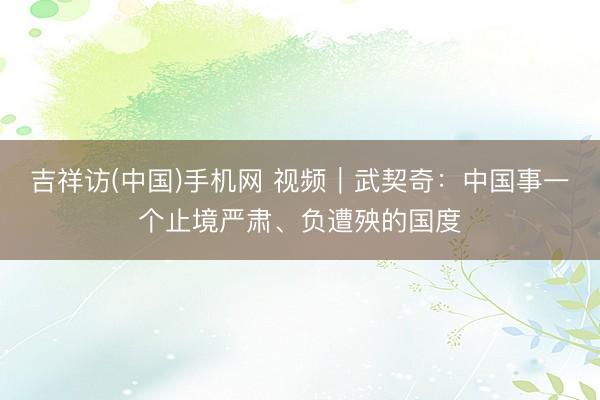 吉祥访(中国)手机网 视频｜武契奇：中国事一个止境严肃、负遭殃的国度