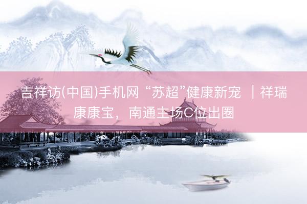 吉祥访(中国)手机网 “苏超”健康新宠 ｜祥瑞康康宝，南通主场C位出圈