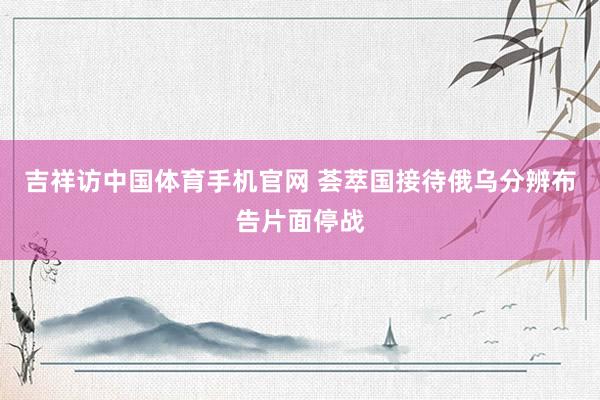 吉祥访中国体育手机官网 荟萃国接待俄乌分辨布告片面停战