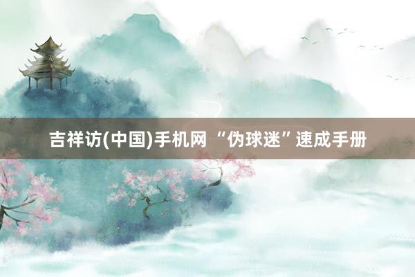 吉祥访(中国)手机网 “伪球迷”速成手册