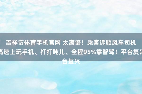 吉祥访体育手机官网 太离谱！乘客诉顺风车司机高速上玩手机、打打盹儿、全程95%靠智驾！平台复兴